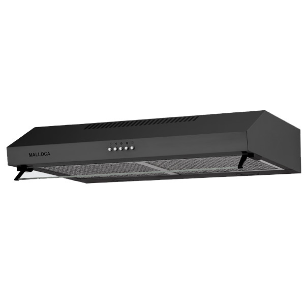 Bosch PST 700 E Gun Battery Powered 100% Tank