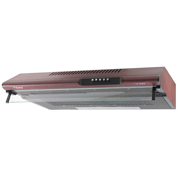 Bosch PST 700 E Gun Battery Powered 100% Tank