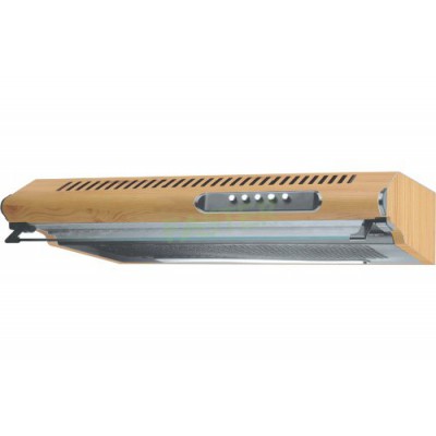 Bosch PST 700 E Gun Battery Powered 100% Tank