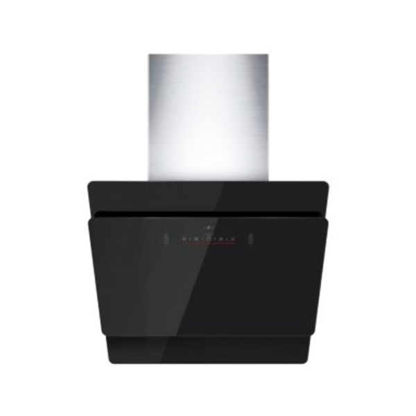 Bosch PST 700 E Gun Battery Powered 100% Tank