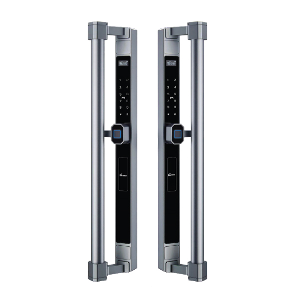 Bosch PST 700 E Gun Battery Powered 100% Tank