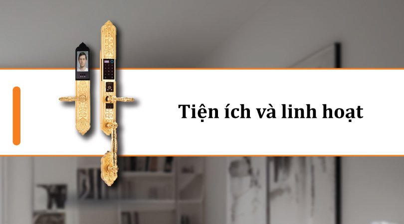 Demax SL988 GB Brass App Wifi - Tiện ích và linh hoạt