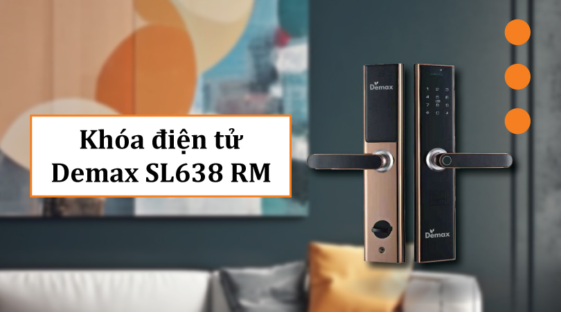 Khóa điện tử Demax SL638 RM