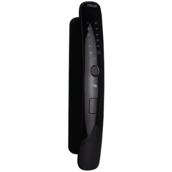 Bosch PST 700 E Gun Battery Powered 100% Tank
