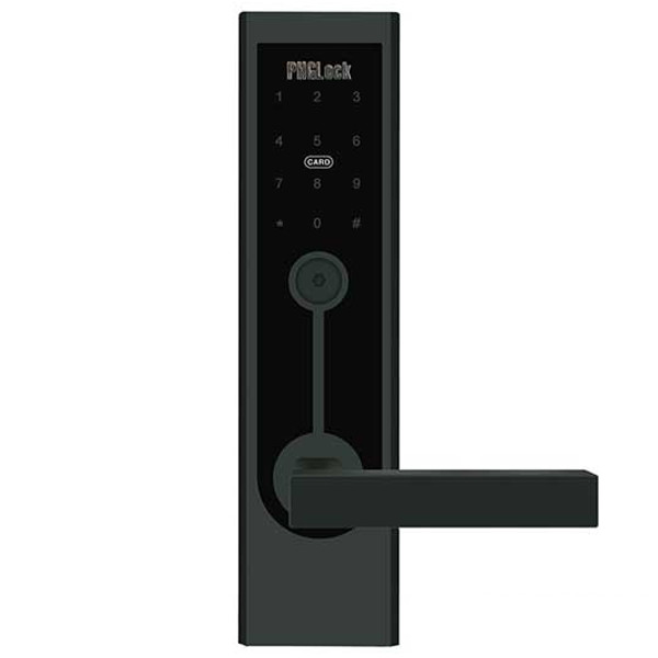 Bosch PST 700 E Gun Battery Powered 100% Tank