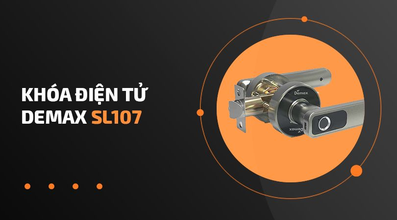 Khóa điện tử Demax SL107