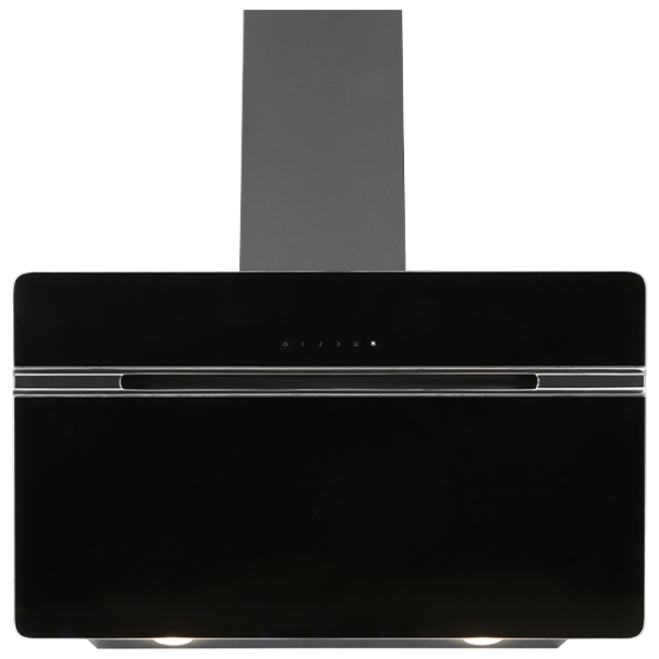 Bosch PST 700 E Gun Battery Powered 100% Tank