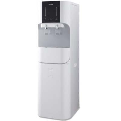 Bosch PST 700 E Gun Battery Powered 100% Tank
