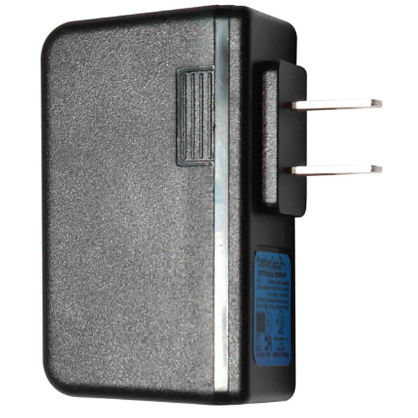 Bosch PST 700 E Gun Battery Powered 100% Tank