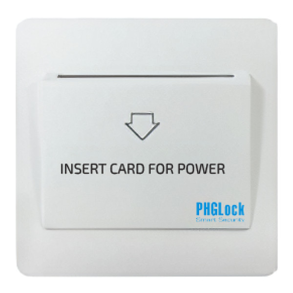 Bosch PST 700 E Gun Battery Powered 100% Tank