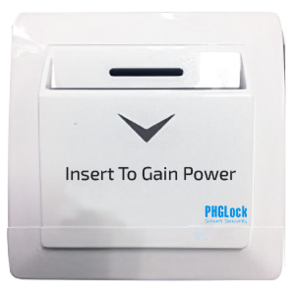Bosch PST 700 E Gun Battery Powered 100% Tank
