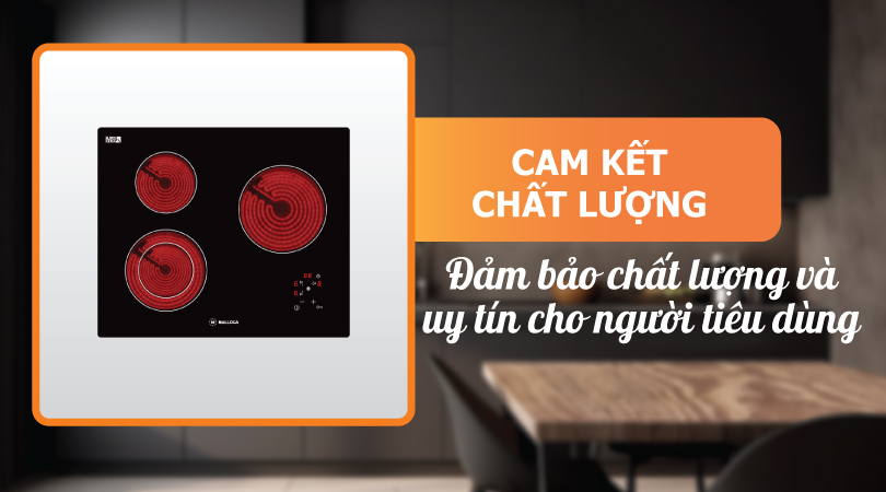 Bếp điện Malloca MH-03R - Cam kết chất lượng