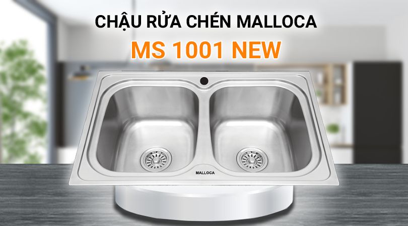 Chậu rửa chén Malloca MS 1001 NEW