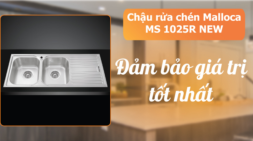 Chậu rửa chén MS 1025R NEW