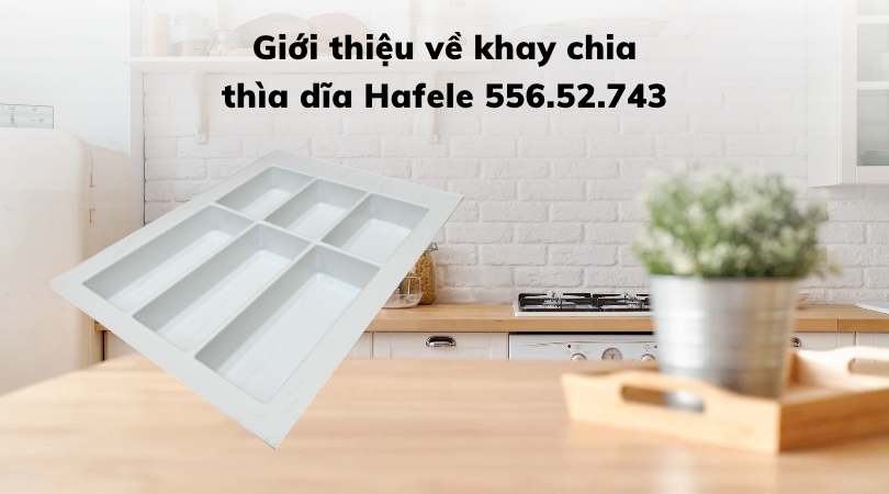 GIỚI THIỆU VỀ KHAY CHIA THÌA DĨA HAFELE 556.52.743