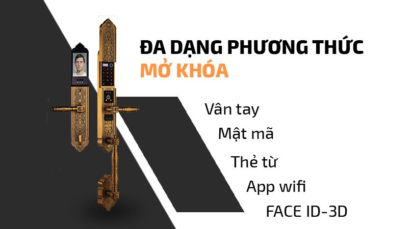 Demax SL986 GB App Wifi - Đa dạng phương thức mở khóa