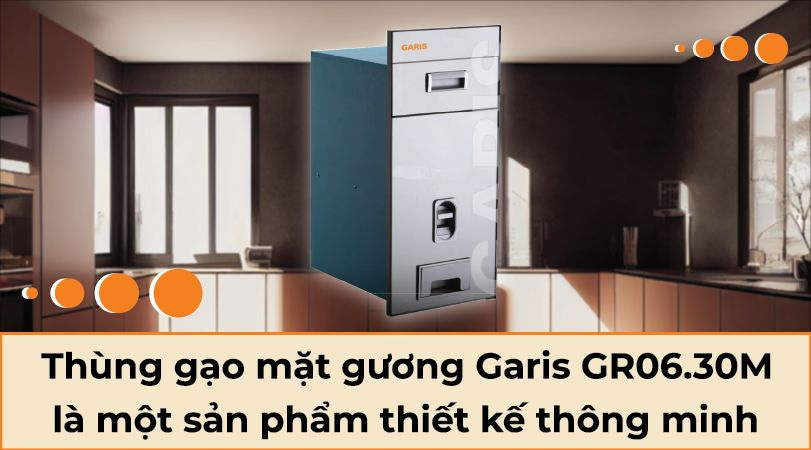 Thùng gạo mặt gương Garis GR06.30M